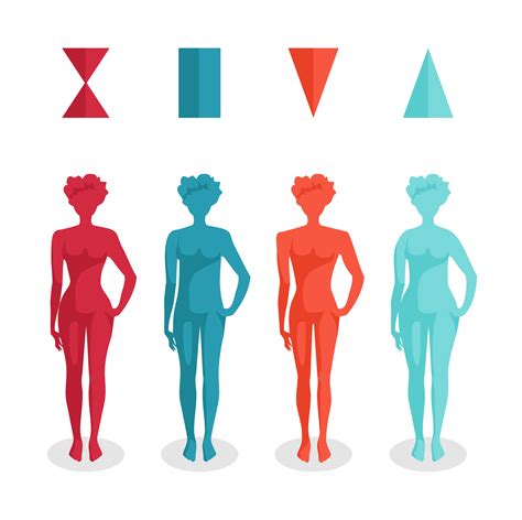 The Definition of Body Shape: The History of What Makes Us Unique