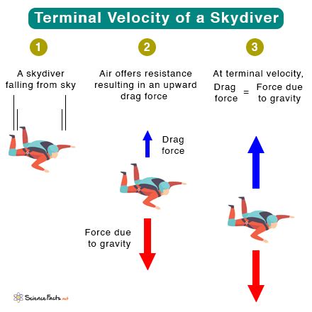 The Desire for Lightning Speed: A Glimpse into the Human Need for Velocity