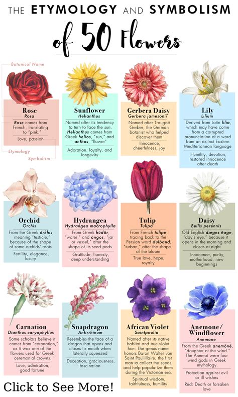 The Different Symbolic Interpretations of Floral Imagery in One's Fantasies