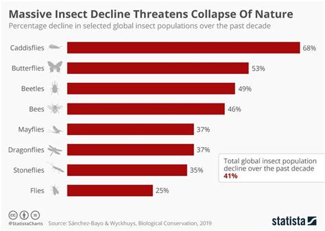 The Disturbing Decrease in Bug Populations