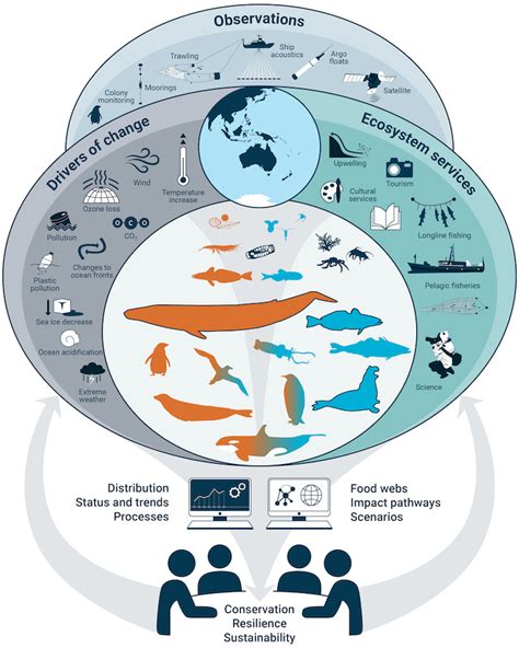 The Disturbing Pace of Oceanic Decline