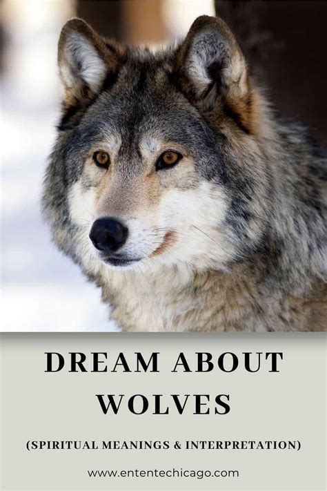 The Dynamics of Power in Dreams Involving Aggression towards a Wolf