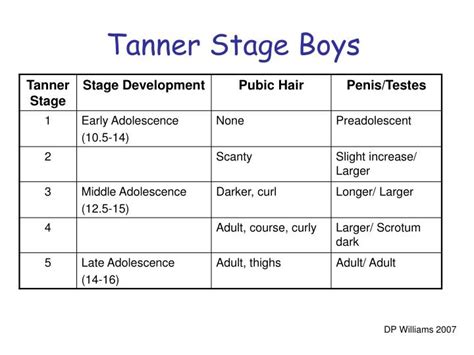 The Early Years of Agean Tanner