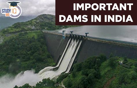 The Ecological Impact of Dams on Indian Rivers