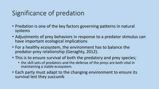 The Ecological Significance of Predation Behavior among Different-sized Fish