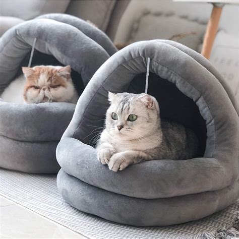 The Elements of an Enchanting Cat Bed: What Every Kitten Deserves