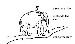 The Elephant as a Metaphor for Power and Strength