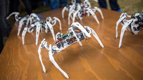 The Emergence of Robotic Arachnids