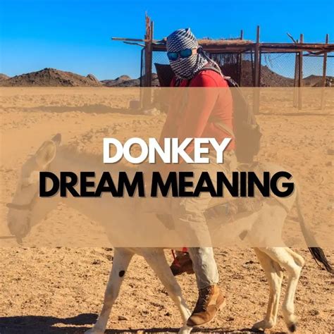 The Emotional Significance of Dreaming about Donkeys