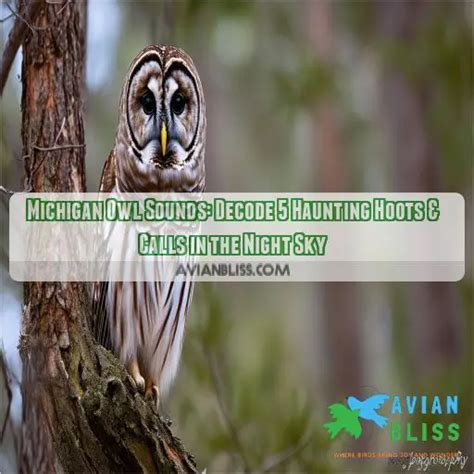 The Enchanting Call of the Gray Owl: Decoding Its Haunting Vocalizations