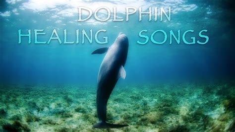 The Enchanting Influence of Dolphin Music