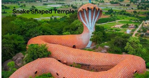 The Enchanting Snake Temple: A Gateway to Unseen Wonders