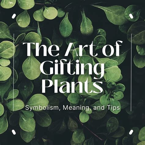 The Enchanting World of Plant Symbolism