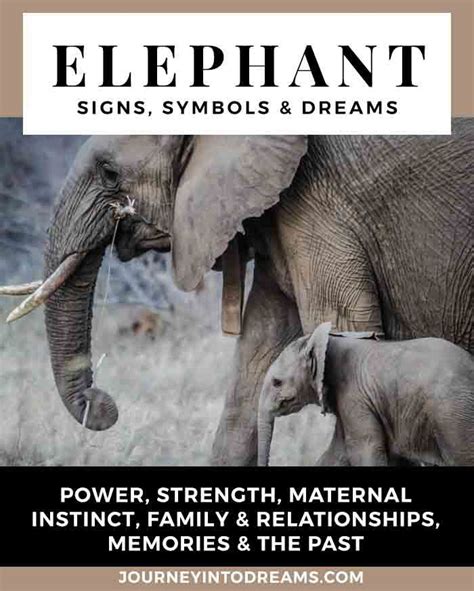 The Enchantment of Elephants in Dreams Throughout the Maternal Journey