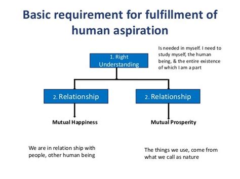 The Enchantment of Flight: A Timeless Human Aspiration