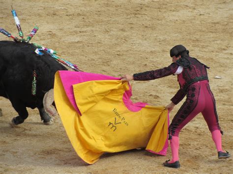 The Enchantment of Marialva and the Temptation of the Bull: An Unparalleled Portuguese Tradition