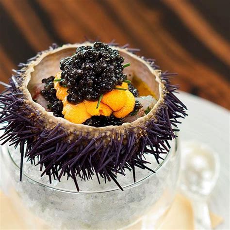 The Enchantment of Sea Urchins: A Sublime Delicacy