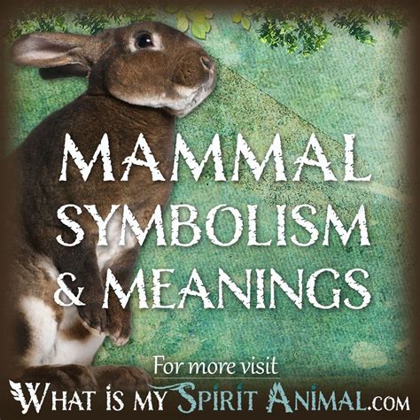 The Enchantment of Seizing Small Mammals: A Captivating Expedition into Symbolism