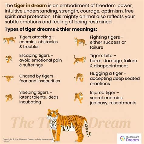 The Enchantment of Tiger Countenances in Interpretation of Dreams