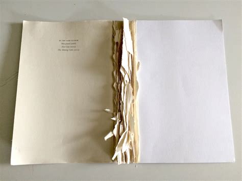 The Enchantment of Worn Pages: Exploring Our Affection for Ripped Books