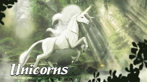 The Enchantment of the Mysterious Ebony Unicorn: Folklore and Legends