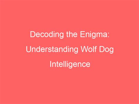 The Enigma Behind Dreams of Wolves Pursuit: Decoding and Examination