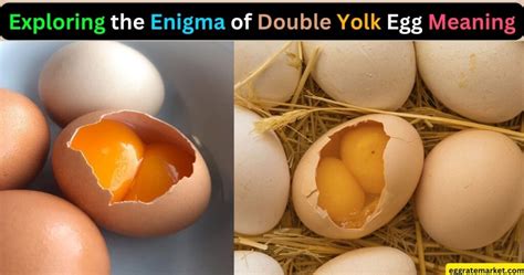 The Enigma and Symbolism Behind Eggs Exhibiting Multiple Yolks