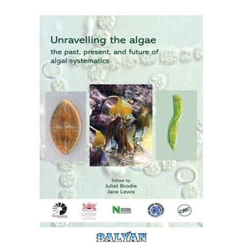 The Enigma of Algae-Enriched Aqua: Unraveling the Enigmatic