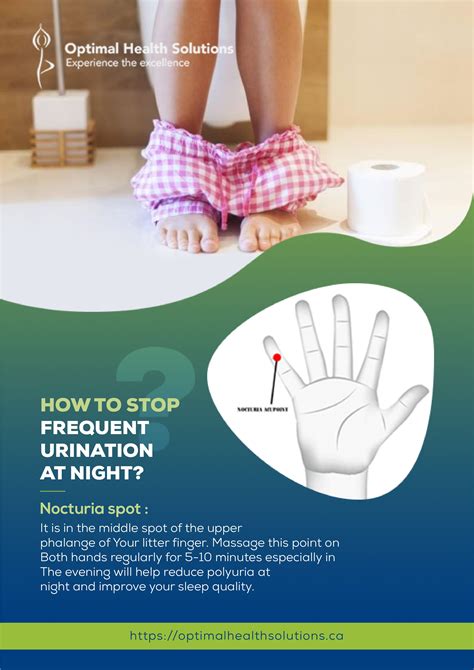 The Enigma of Frequent Urination during Sleep: Triggers and Remedies