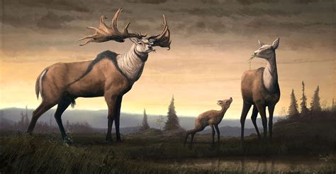 The Enigma of Vanished Behemoths: Exploring the Extinct Giant Deer