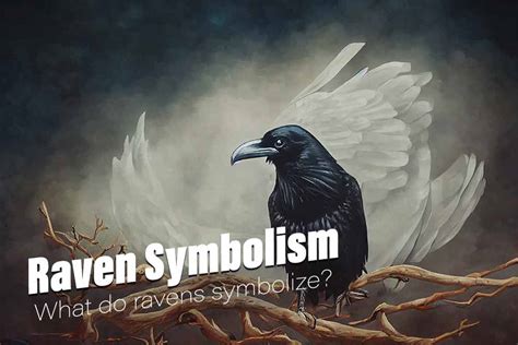 The Enigma of the Raven: Exploring its Intricate Symbolism and Cognitive Abilities