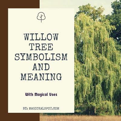 The Enigmatic Allure of Willow Trees: Exploring the Profound Significance and Mystical Symbolism Enshrined in Nature's Exquisite Creation