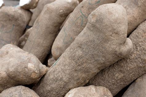 The Enigmatic Allure of Yam Tubers in Dreams