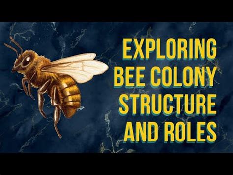 The Enigmatic Bee's Role in the Interpretation of Dreams