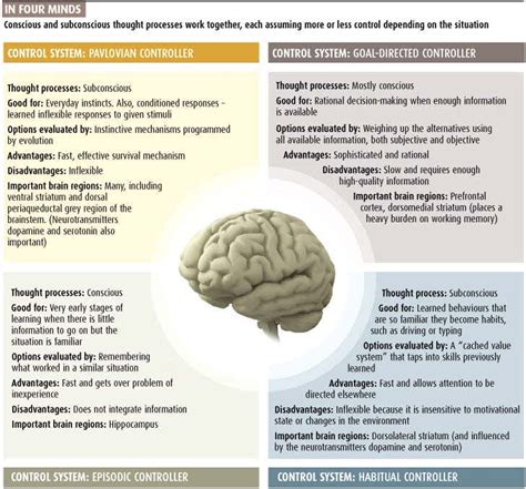 The Enigmatic Influence: The Role of the Subconscious