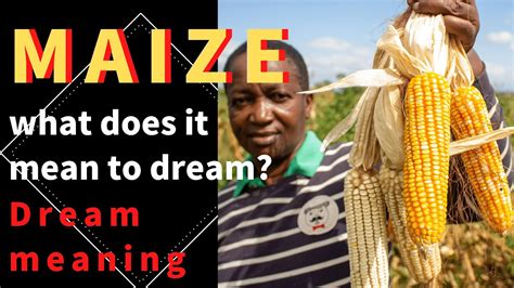 The Enigmatic Interpretation of Maize Visions