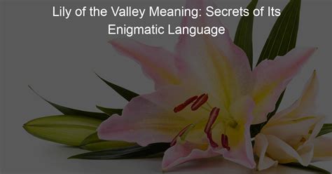 The Enigmatic Language of Tears: Decrypting the Significance Behind Sorrowful Weeping During Nocturnal Rest