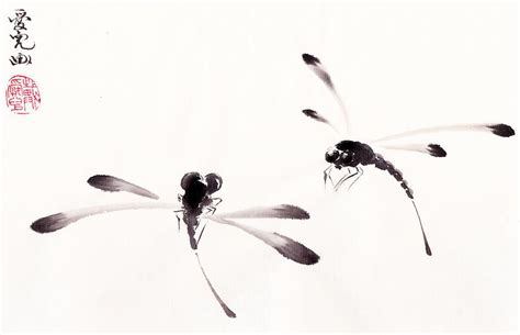 The Enigmatic Presence of Dragonflies in Reveries