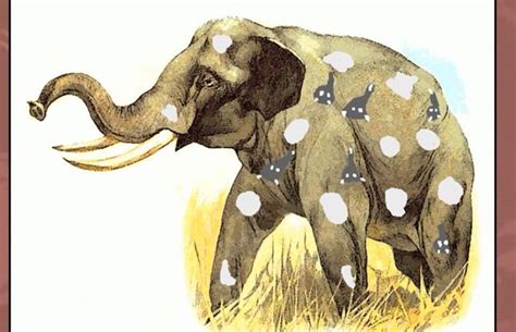 The Enigmatic Significance of Dreaming About an Abnormal Pachyderm