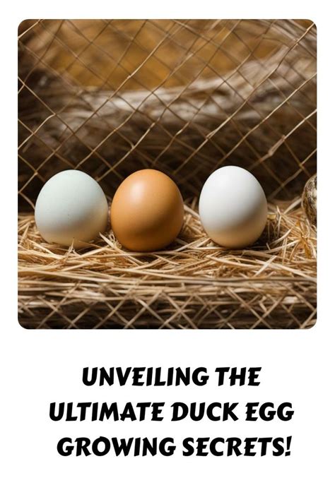 The Enigmatic Significance of Duck Egg Incubation