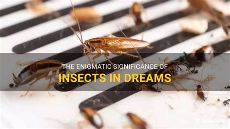 The Enigmatic Significance of Insects in Infantile Reveries