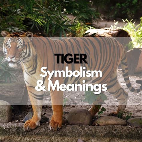 The Enigmatic Symbolism Behind Visions of Tiger Demise