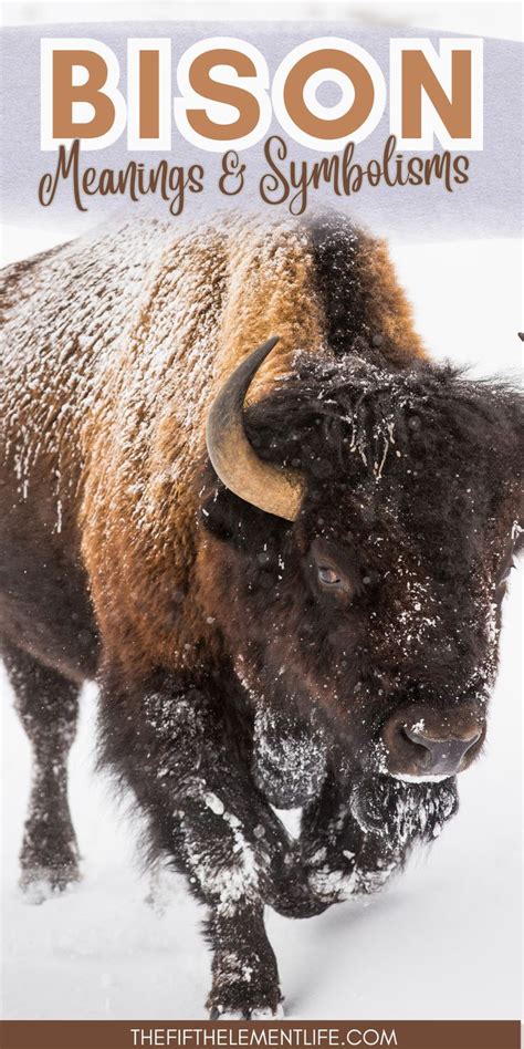 The Enigmatic Symbolism of the Majestic Bison