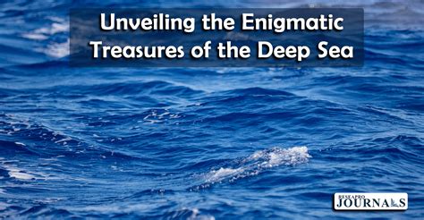 The Enigmatic Treasures of the Ocean