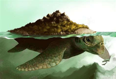 The Enigmatic Yellow Turtle: A Mythical Creature or Concrete Existence?