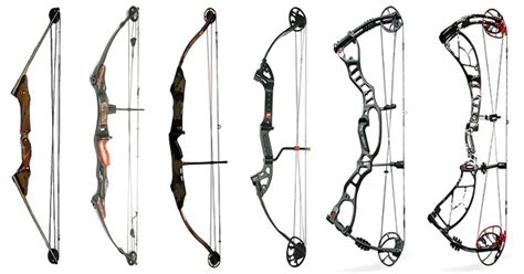 The Enthralling History of Archery and Its Evolution