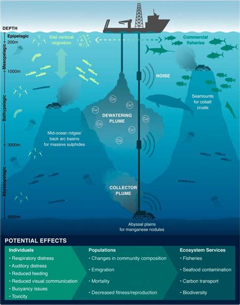 The Environmental Impact of Exploring Uncommon Aquatic Species