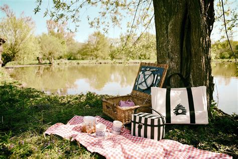 The Essential Element for an Idyllic Picnic Location
