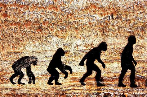 The Evolution of Human Flight: From Ancient Legends to Modern Reality