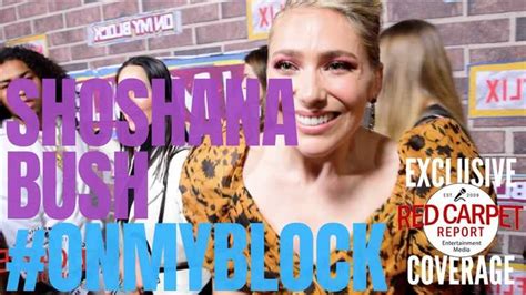 The Evolution of Shoshannah Bush's Net Worth